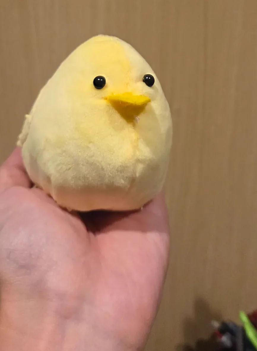 ジャパンクラフトの優待券で購入したひよこのぬいぐるみ完成品